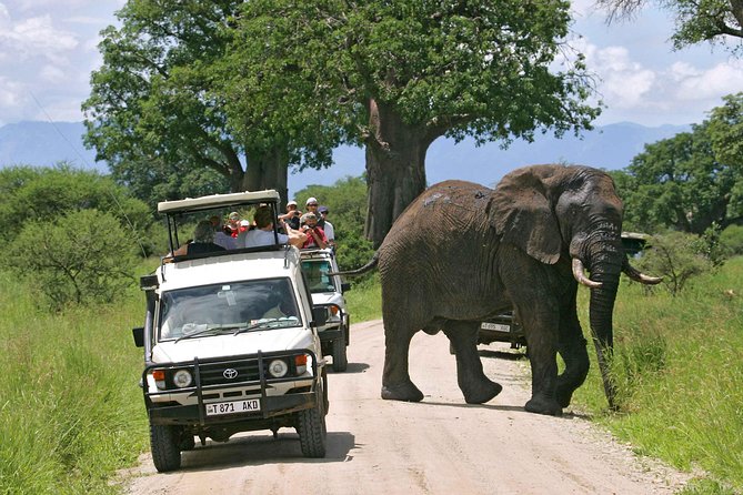 5 Days 4 Nights Tarangire, Serengeti , Ngorongoro & Manyara Wildlife Safari - Accommodation and Meals