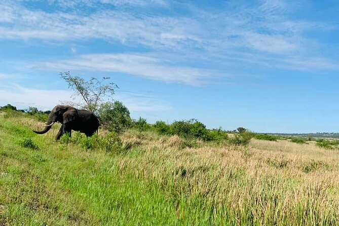 5 Days Best Wildlife Experience in Uganda - Boat Safari on the Nile River