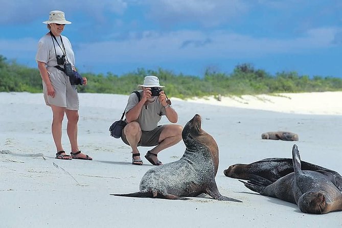 5 Days Galapagos Tour: Santa Cruz and Isabela Islands - Wildlife Encounters in the Galapagos