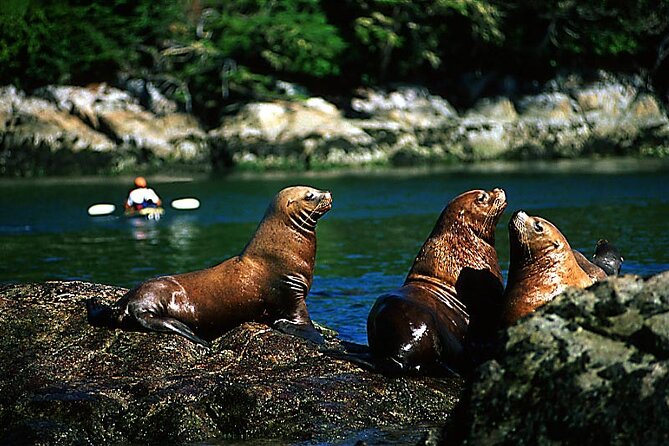 5 Days in Vancouver Multiactivity Adventure Tour - Participation Information