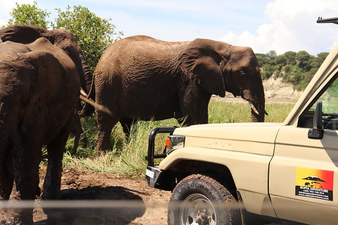 5 Days Joining Safari - Tarangire, Serengeti, Ngorongoro Crater and Lake Manyara - Descending Into Ngorongoro Crater