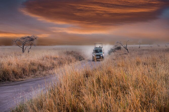 5 Days Safari, Hiking & Culture (Serengeti & Kilimanjaro) - Cultural Experiences Available
