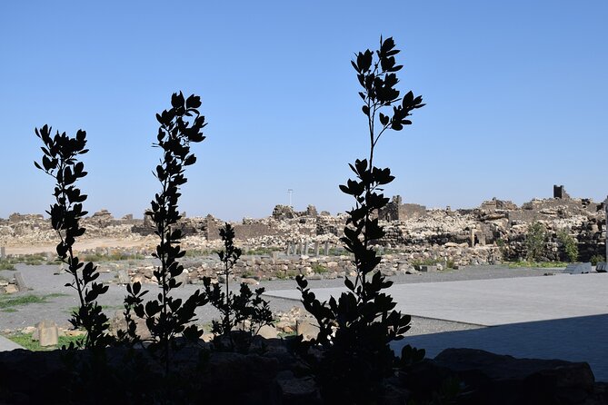 5-Desert Castles of Jordan Full-Day Private Tour From Amman - Pricing and Cancellation Policy