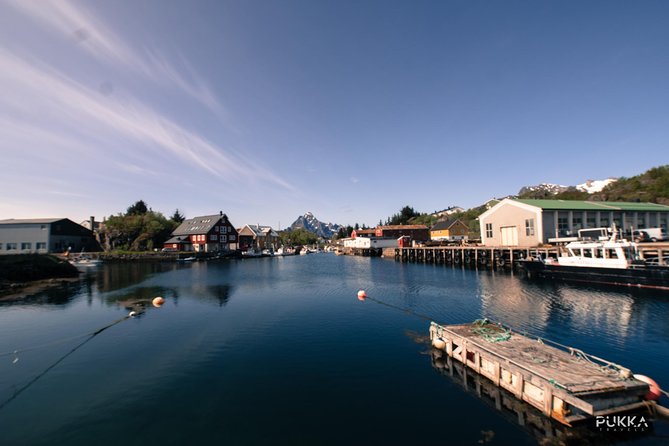5 Highlights Of Lofoten From Svolvær - Immerse in the Northern Lights