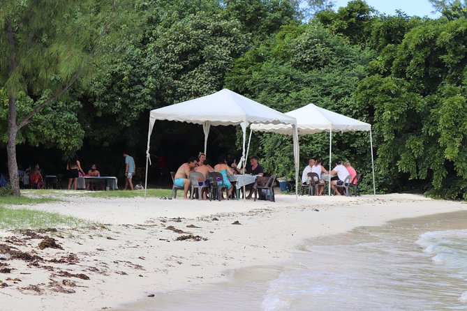 5 Islands South East Discovery Adventure - Departure and Meeting Point