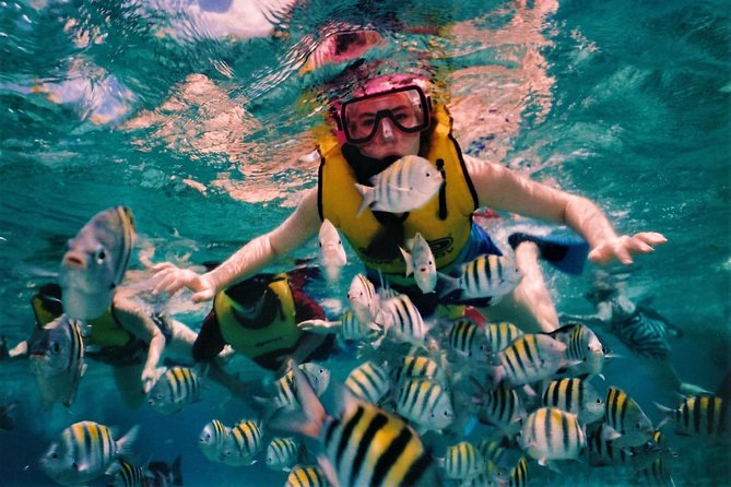 5 Islands Speedboat Cruise Incl. Snorkeling in Blue Bay + Lunch at Ile Aux Cerfs - Lunch at Ile Aux Cerfs