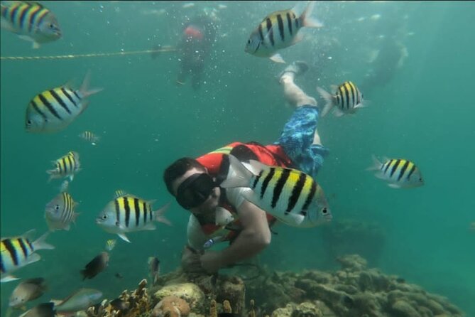 5 Islands Tour (Cholon the Party Island and Snorkeling) - Customer Reviews