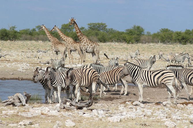 6 Day Private Guided Accommodated Namibian Loop - Whats Included in the Tour