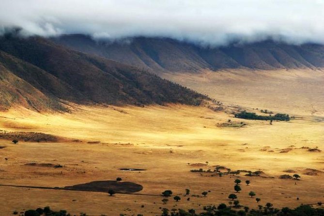 6 Days 5 Nights Lodge Safari Tarangire, Manyara, Serengeti & Ngorongoro Crater - Pickup Information