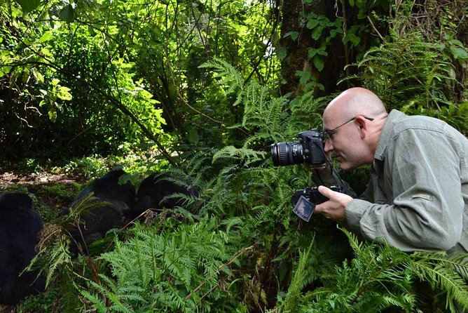 6 Days Chimps, Gorillas & Murchison Falls Africas Big Five Experience Safari - Exploring Murchison Falls National Park