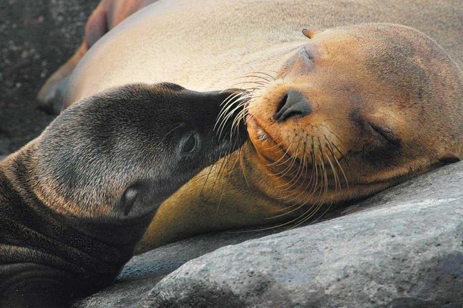 6-Days Quito & Galapagos Basic - Passport Details Requirement