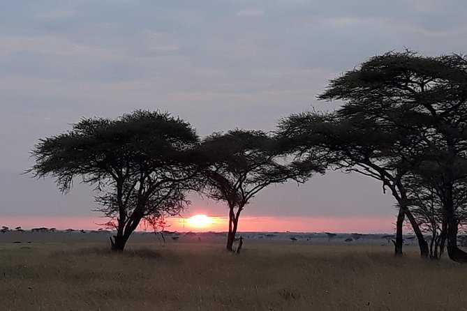 6 Days Tarangire,Serengeti, Ngorongoro & Manyara Mid-range Camping Safari Tour - Whats Included
