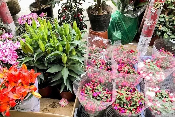6-Hour Private Beijing Tour: Flower and Fish Market, Panjiayuan Antique Market and 798 Art Zone - Pricing Information