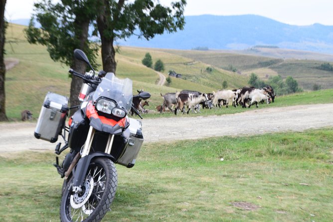 7 Day Best of Transylvania Motorcycle Tour From Cluj - Draculas Gothic Castles