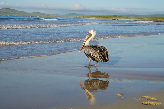 7-Day Galapagos Essentials - Adventures in Academy Bay