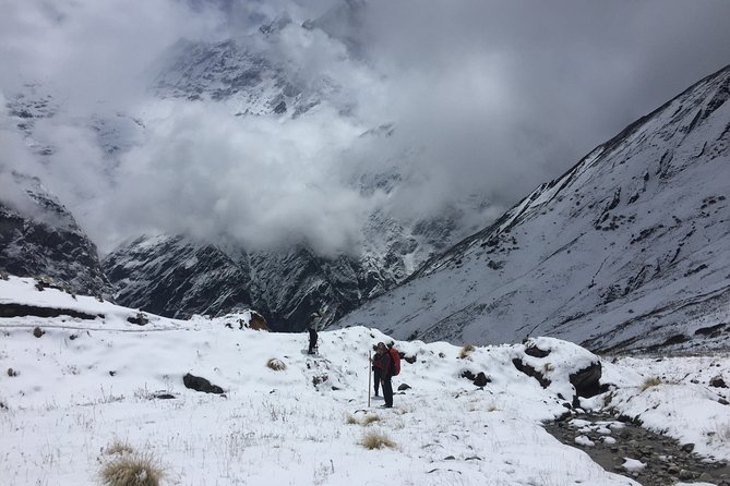7 Days Annapurna Base Camp Trek From Pokhara - Reviews and Ratings