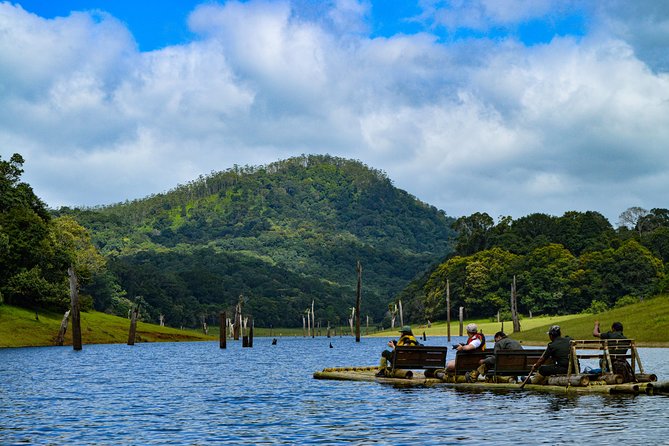 7 Days Kerala Tour- Munnar, Periyar, Houseboat & Varkala Beach - Exploring Munnar