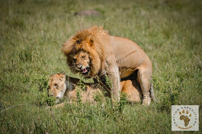7 Days Masai Mara-Lk. Nakuru-Lk. Naivasha-Amboseli Group Safari - Health and Accessibility