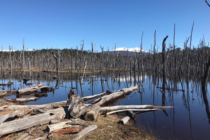 7-Hour Lakes Escondido & Fagnano - USHUAIA (Shared Tour) - Tour Logistics