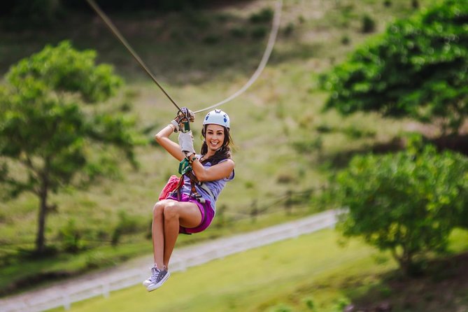8-Day Best of Northwest Costa Rica From San Jose: Arenal Volcano National Park, Alajuela and Guanacaste - Cano Negro Wildlife Refuge