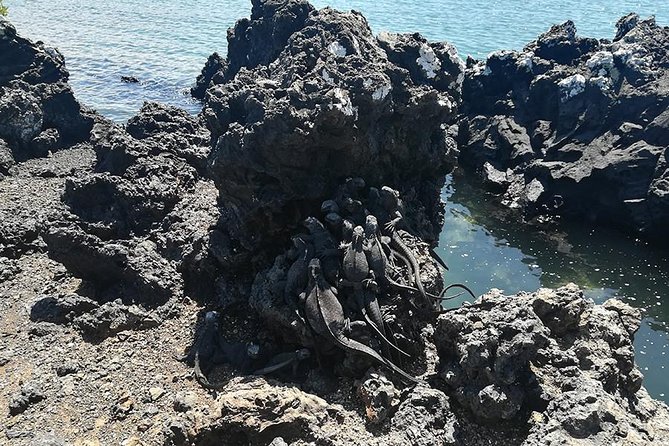 8 Day Galapagos Adventure in San Cristobal, Santa Cruz & Isabela - Activity Options