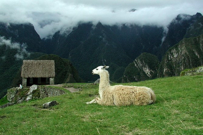 8-Day Tour From Lima: Machu Picchu and the Amazon Jungle - Wildlife and Cultural Experiences