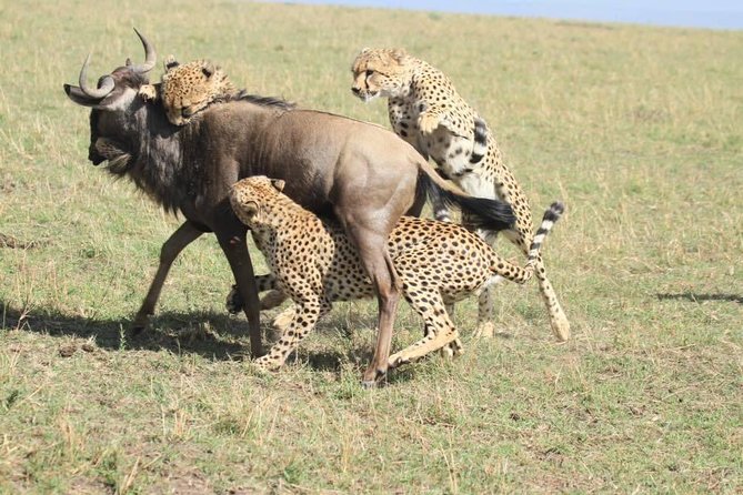 8 Days Amboseli Great Rift Valley Lakes & Masai Mara - Lake Naivasha