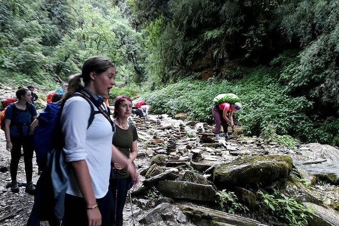 9 Days Short and Easy Ghorepani Poonhill Trekking in Nepal - Trekking Route Description