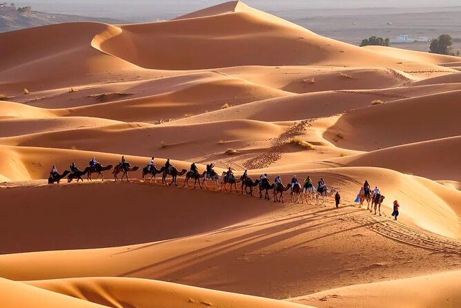 9 Days Tour From Casablanca to the Desert via Chefchauen , Fez - Traveler Experiences