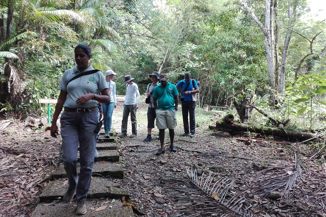 A Day at the Asa Wright Nature Center - Guided Excursions