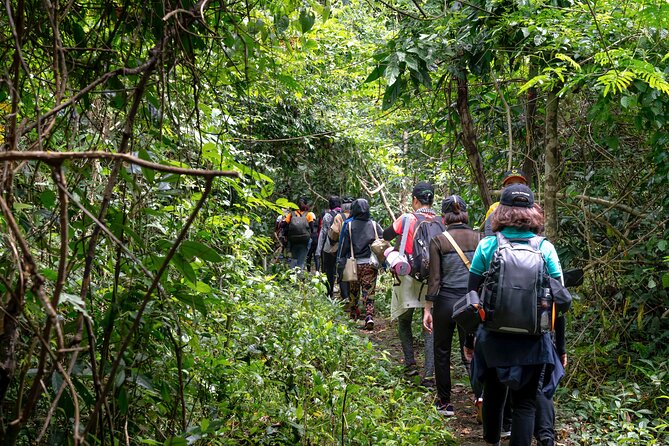 A Day of Relaxation in the Jungle and Waterfalls of Dominica - Health and Safety Considerations
