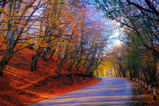 A Day Tour to Kakheti Region/Wine/Culture/History and Gastro Tour - Flexible Itinerary Adjustments