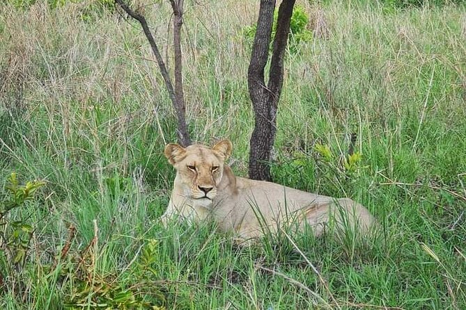 A Day Trip To Selous Fly From Zanzibar - Exploring Selous Diverse Wildlife