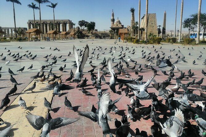 A Full Day Tour to Explore Luxor Monuments - Pickup and Availability