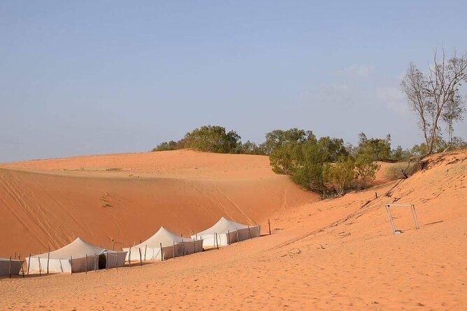 A Night in the Desert of Lompoul - Dining Options Included