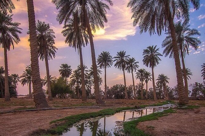 A Tour in Al Ahsa the Largest Oasis in the World - Indulging in a Delectable Lunch