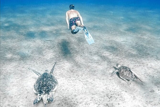 Abu Dabbab Beach Full Day Trip With Turtles - Daily Itinerary