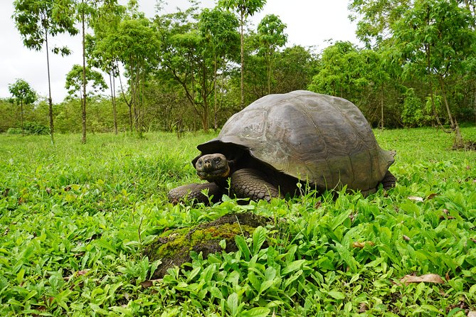 Active Galapagos Island Tour 10 Days - Snorkeling Excursions