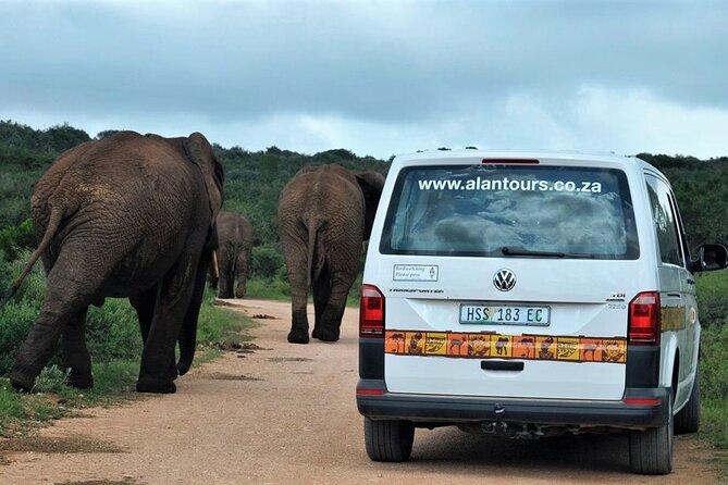 Addo Elephant National Park From Port Elizabeth - FD01 - Transportation Details