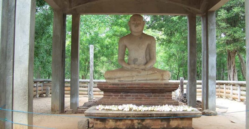 Adventural and Cultural Tour of Sri Lanka - 12 Days Tour - Accommodations