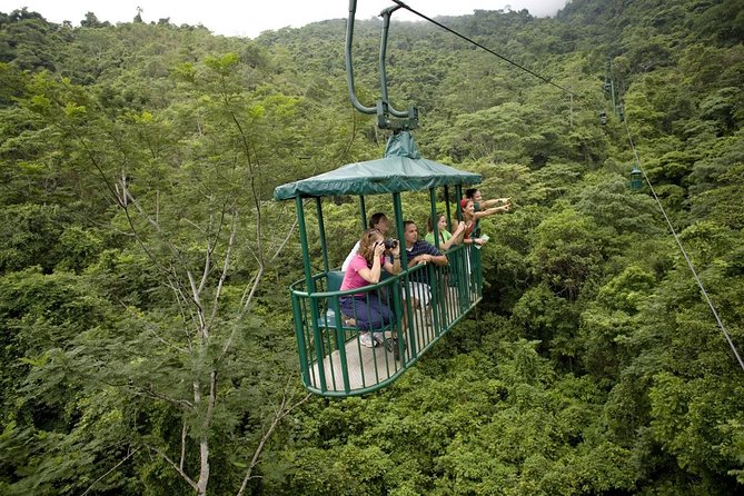 Aerial Tram Tour From Jaco - Observing Wildlife and Nature