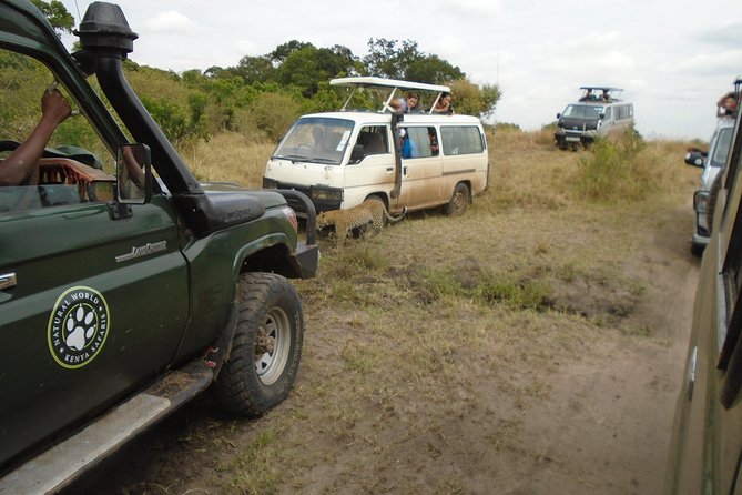 African Wildlife & Nature - 5 Kenya National Parks - 6 Day Jeep Safari - Exploring Tsavo West National Park