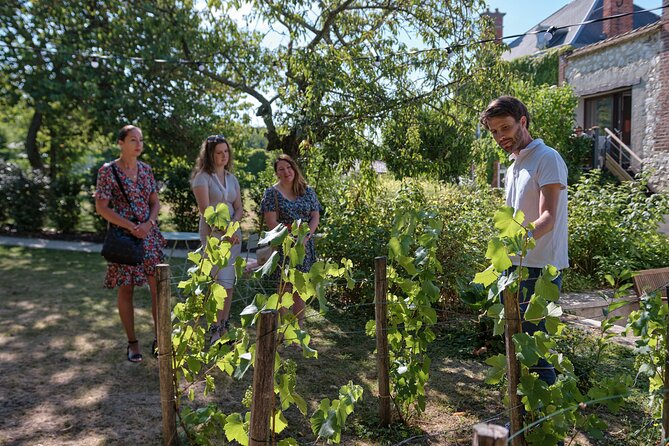 Afternoon Champagne Visit & Tasting Class Near Epernay - Champagne Tasting and Sampling