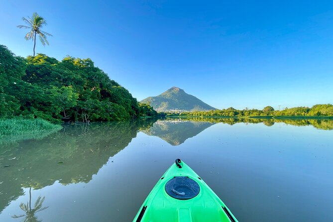 Afternoon Guided Kayak Tour on the Tamarin River - Participant Requirements