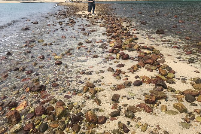Afternoon Hiking Tour Sharp Island Geopark - Scenic Highlights