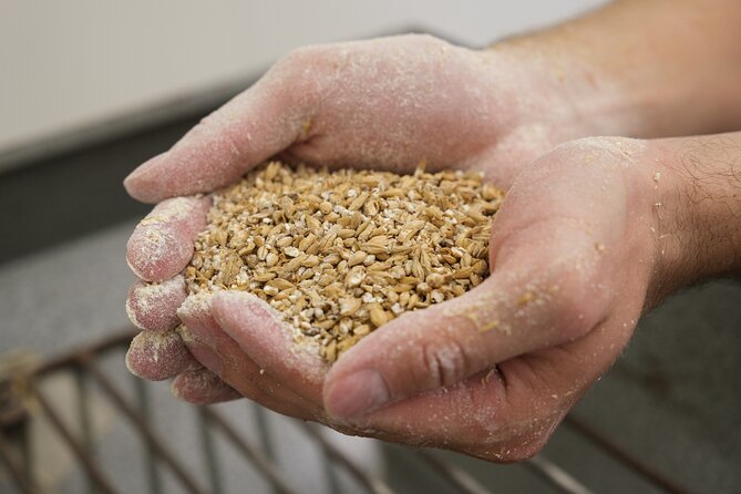 Agricultural Brewery Tour in the Roman Countryside - Cancellation Policy