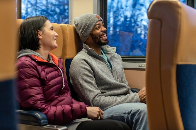 Alaska Railroad Aurora Winter Anchorage to Fairbanks One Way - Accessibility and Policies for Travelers