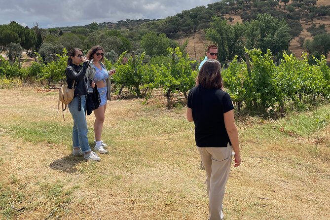 Alentejo Wine Tour From Évora - Tour Start Times and Schedules