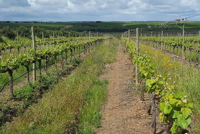 Alentejo Wine Tour From the Algarve - Tour Schedule and Availability