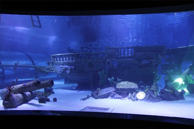Alexander Waterfall and Antalya Aquarium Day Tour From Side - Schedule and Logistics